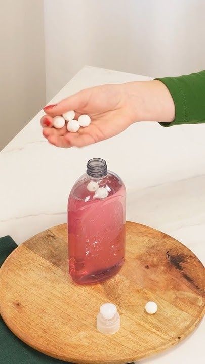 Moth control and prevention service